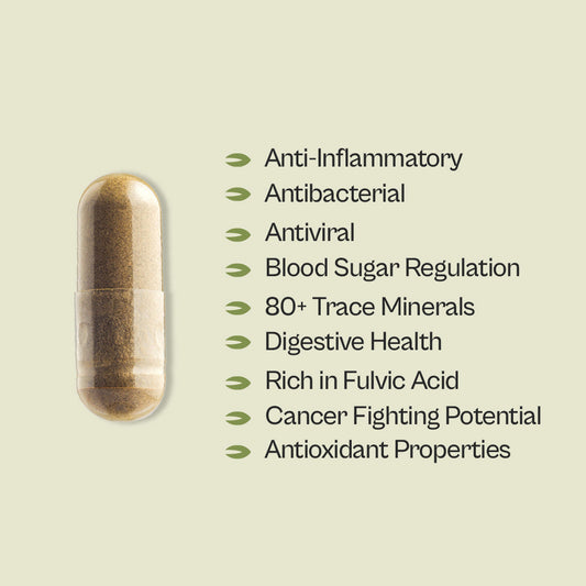 Graviola + Shilajit Supplement