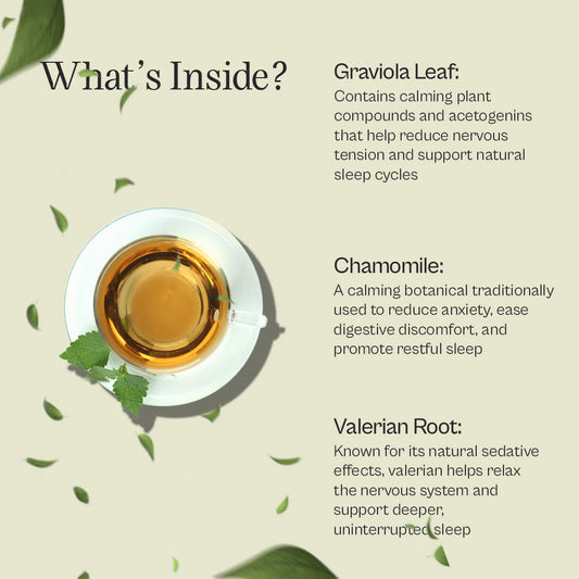 Sleep Tea – Pure Graviola Blend