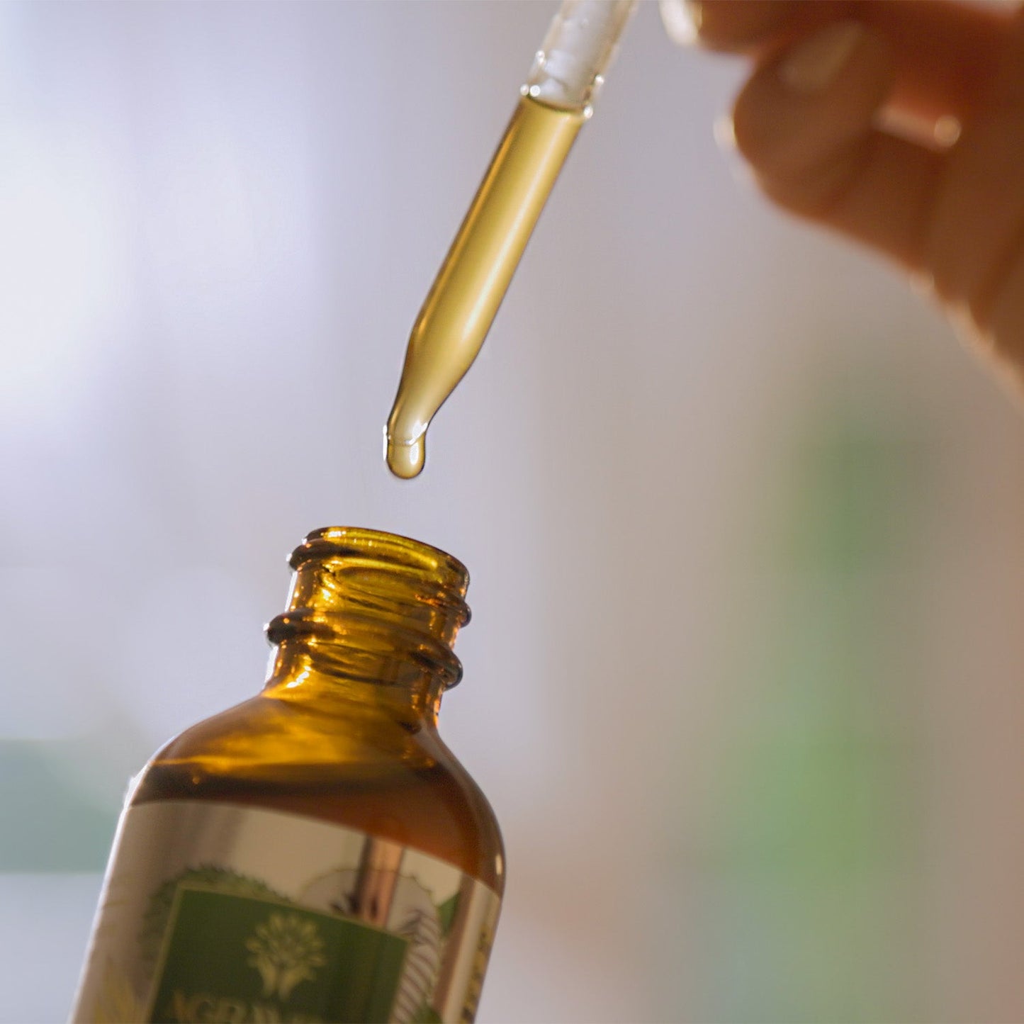 Graviola Leaf Tincture